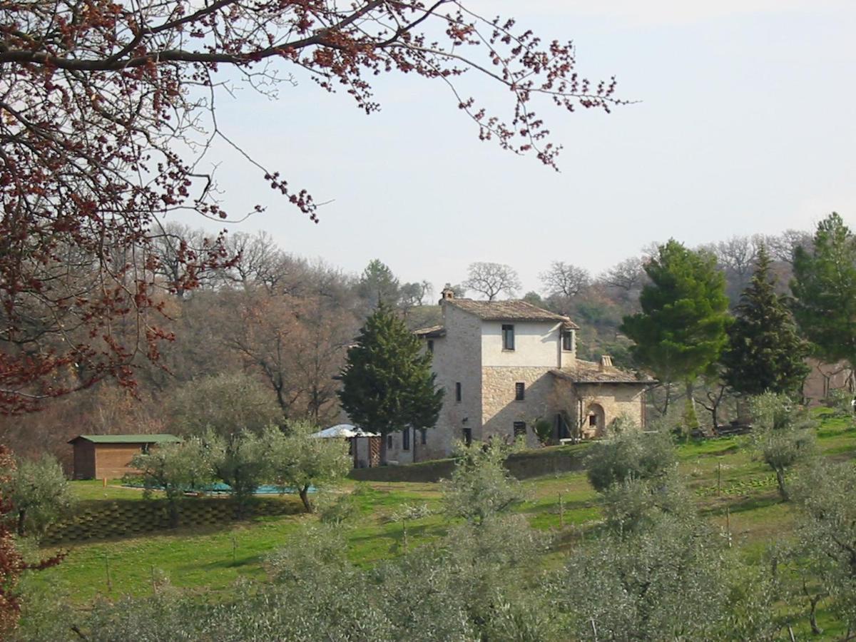 Girasole - Agriturismo Fogliani Giano dellʼUmbria Zewnętrze zdjęcie